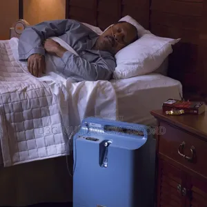 Philips Respironics Everflo Stationary Oxygen Concentrator