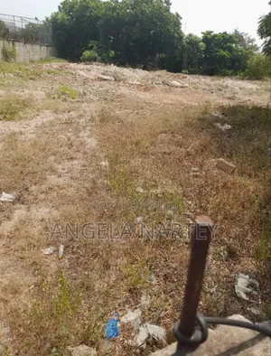 1.34 Acre Land Close To Coconut Groove-ridge