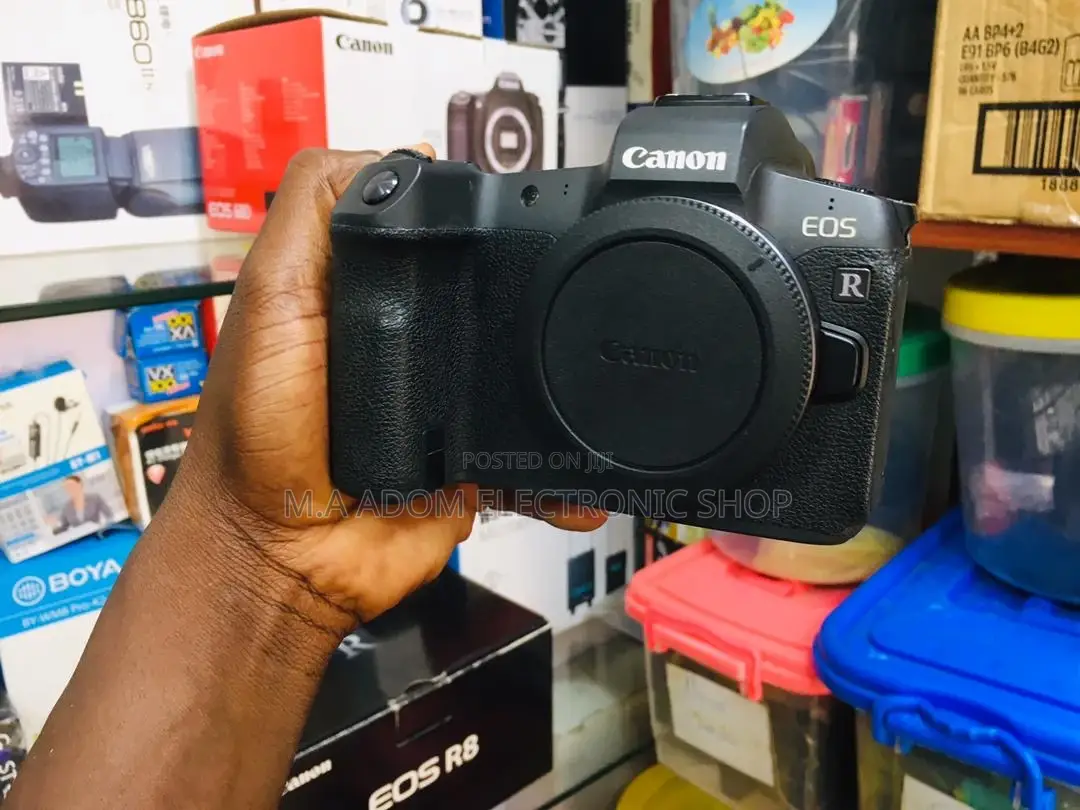 Capture Stunning Moments With the Canon Eos R Digital Camera