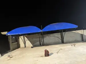 Carport/ Canopy