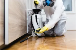 Pest Removal With Cleantex