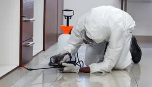 Pest Removal With Cleantex