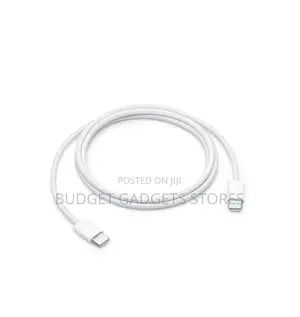 Original Apple Type C to C Cable