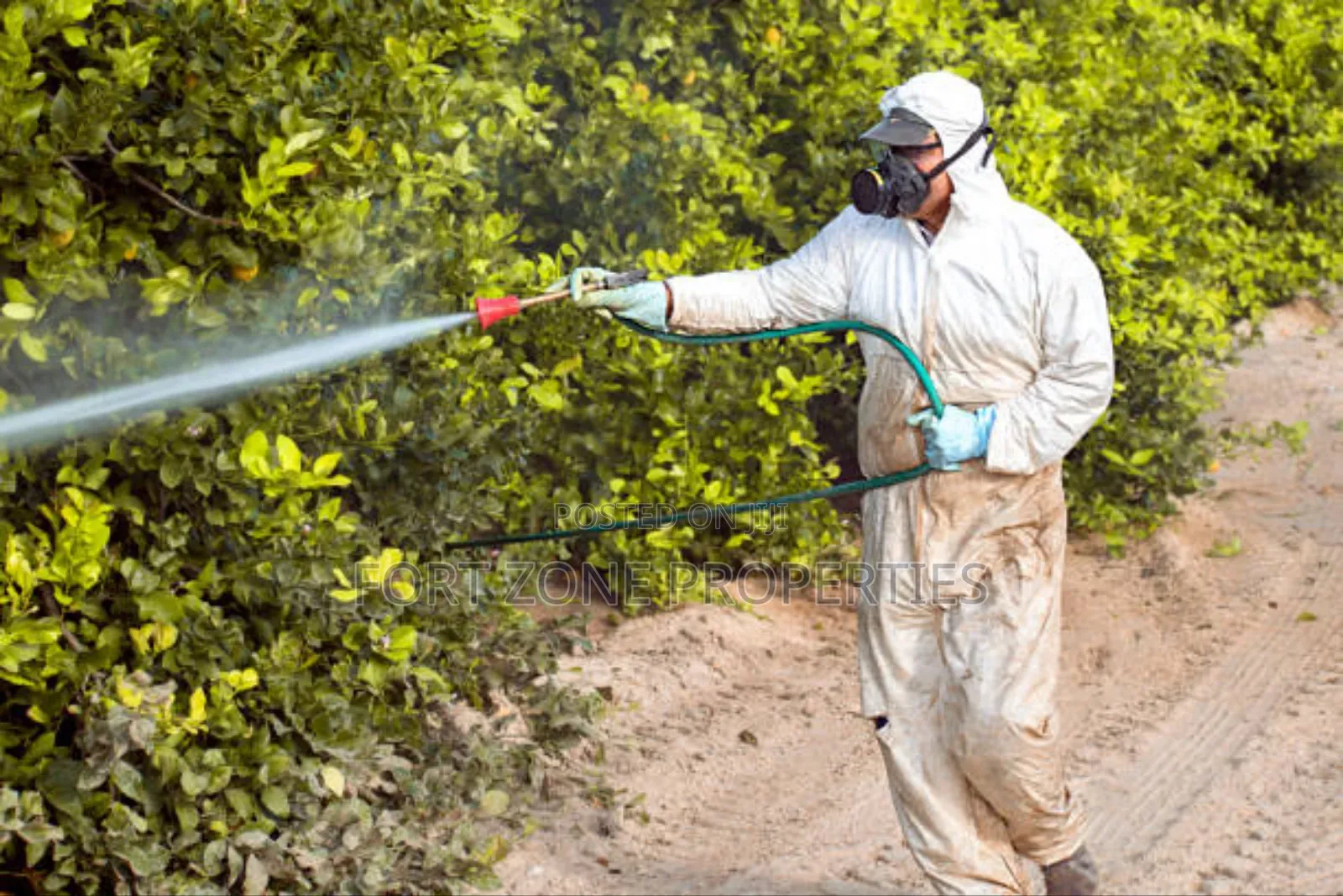 No More Pest Fumigation and Disinfection
