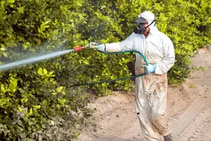No More Pest Fumigation and Disinfection