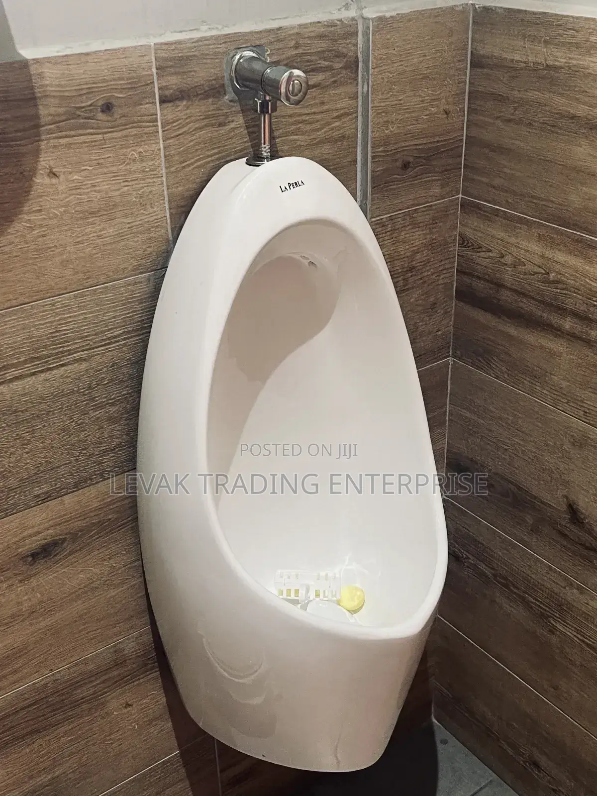 Universe Urinal Bowl