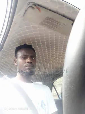 A Professional Licensed Uber Driver