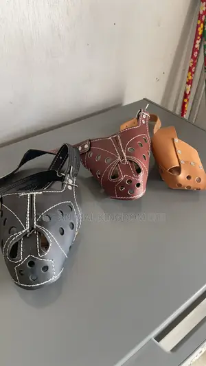 Dog Muzzles