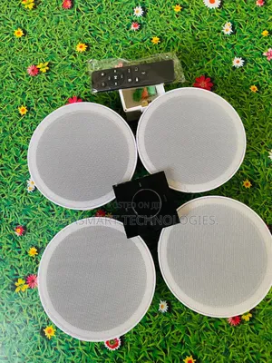 Ceiling Speaker + Analog Wall Amplifier