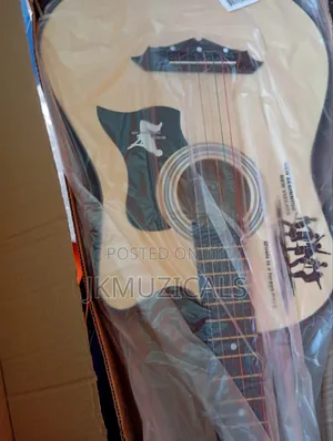 Acoustic Guitar