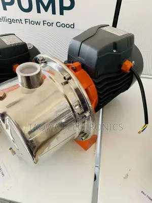 Leo 1hp Water Pump