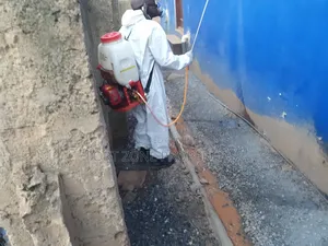Cockroaches,Mouse,Lizards ,Bedbugs Invaded Your Facility?