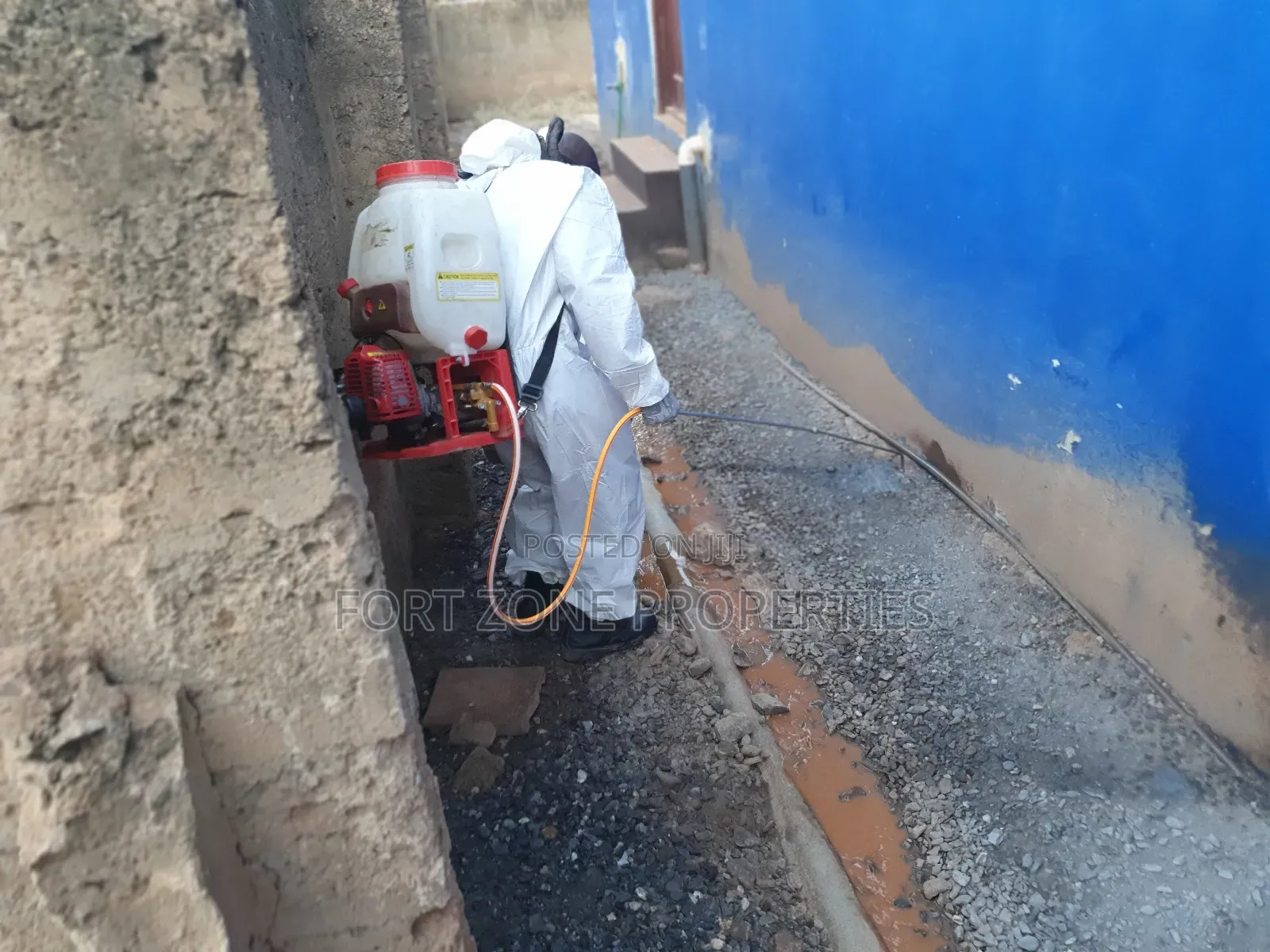 Cockroaches,Mouse,Lizards ,Bedbugs Invaded Your Facility?