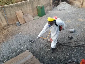 Unique Insect ,Reptiles,Rodents Fumigation and Disinfection