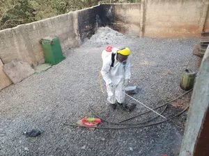 Unique Insect ,Reptiles,Rodents Fumigation and Disinfection