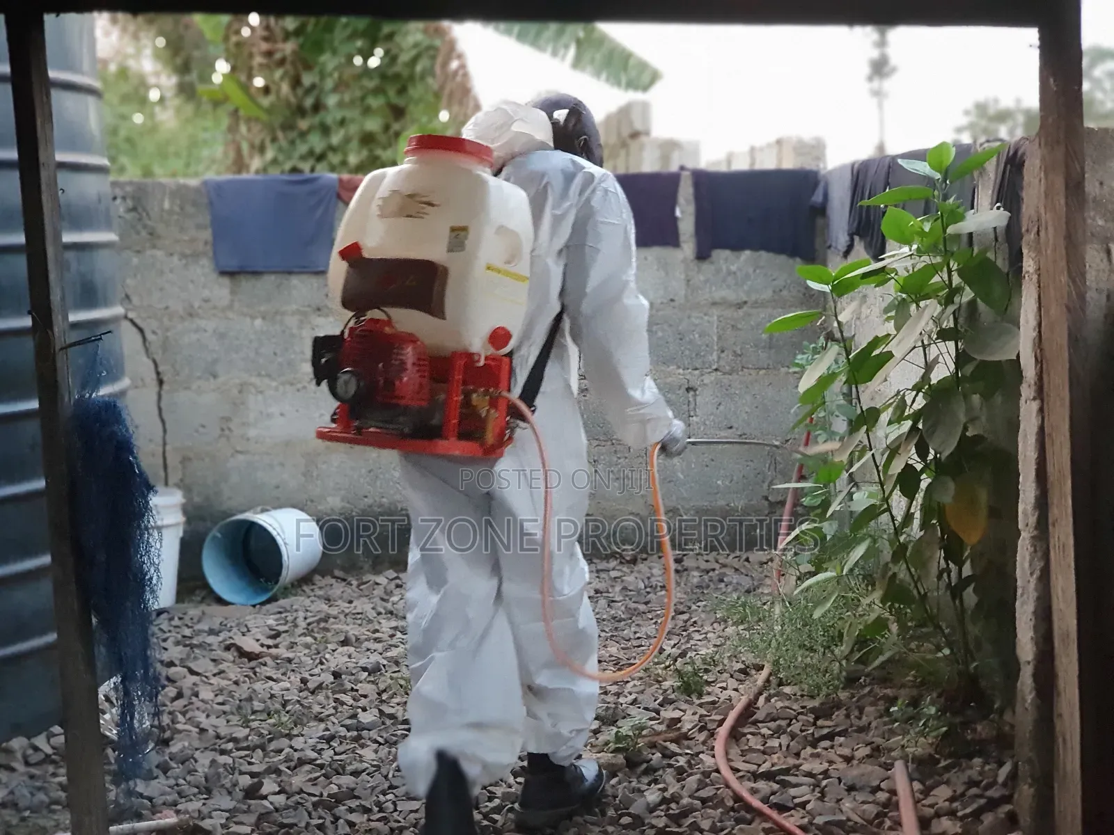 Pest Terminators And Fumigation