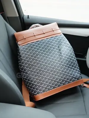 Goyard Backpacks Different Colors