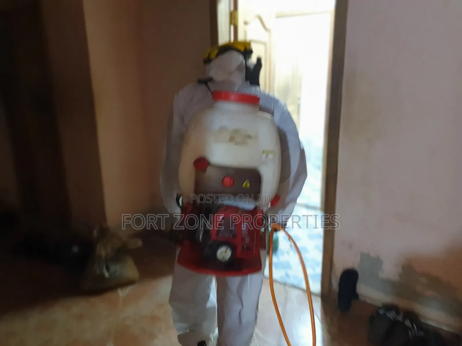 Cleanest Fumigation of Insects and Reptiles