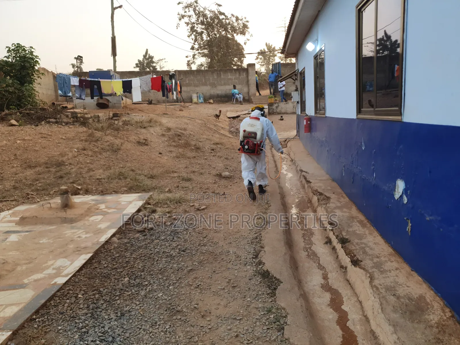 Cleanest Fumigation of Insects and Reptiles