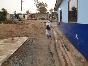 Cleanest Fumigation of Insects and Reptiles