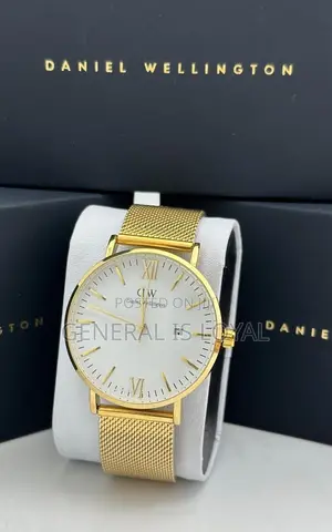 Daniel Wellington / Mesh Stainless