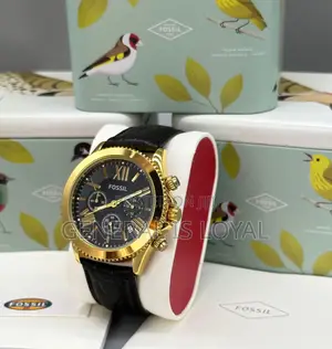 Fossil Leather Watch / Hardest Screen