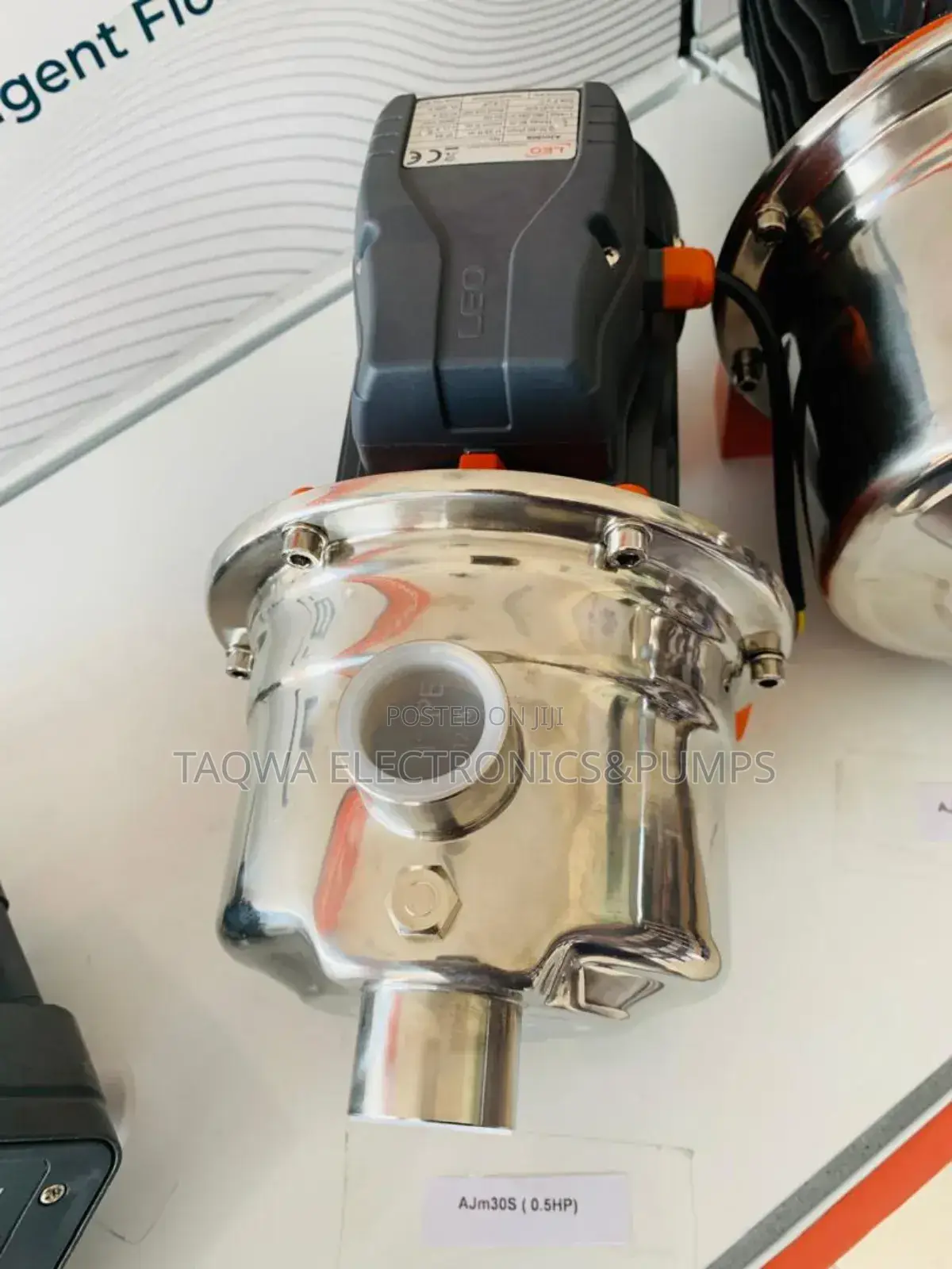 0.5hp Leo Water Pump