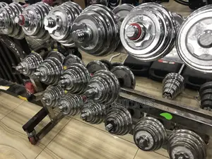 30killogram Adjustable Dumbbells