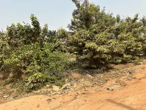 Half Daban Second Plot to Main Road.