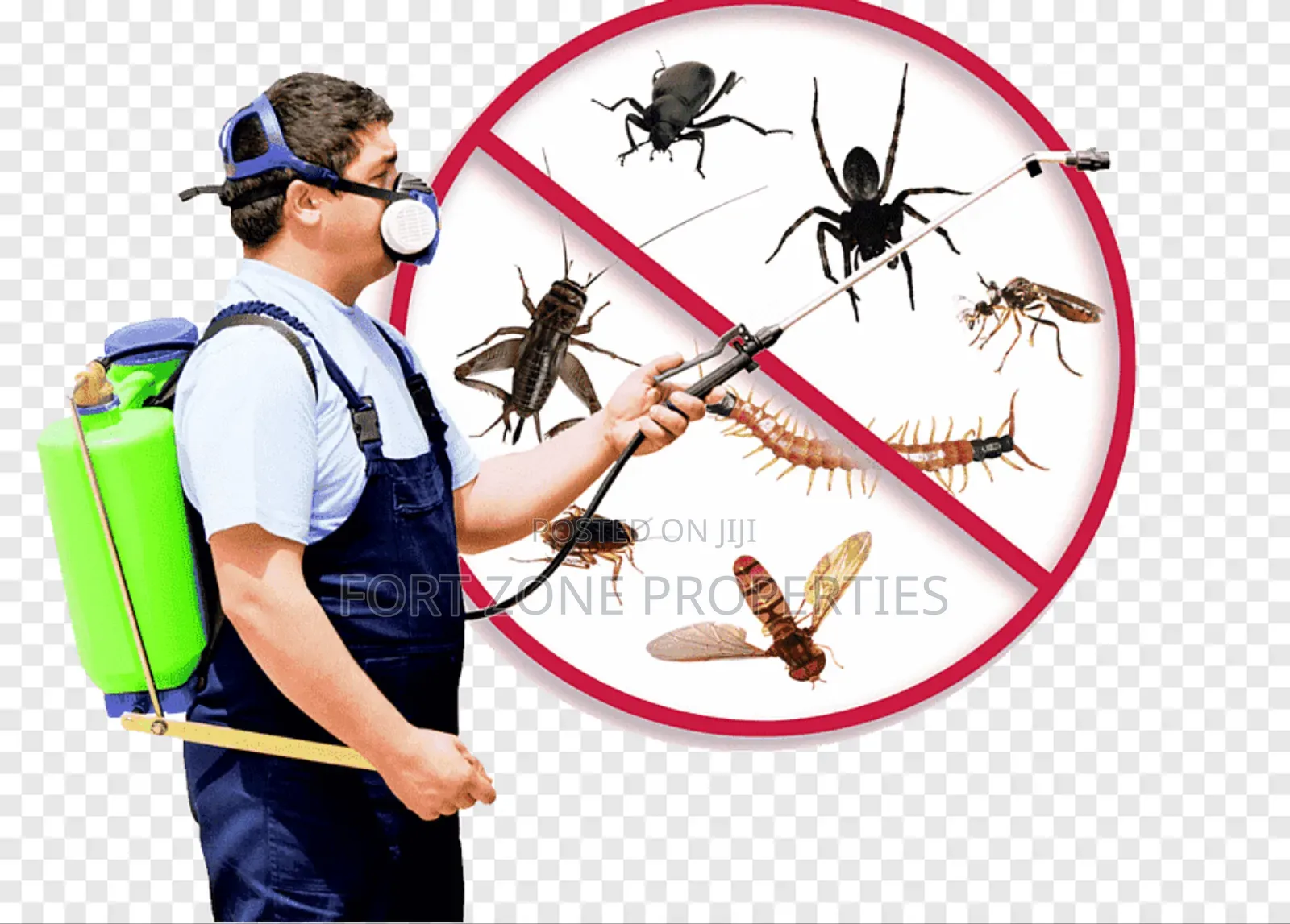 Pest Terminators From Homes,Hotels,Warehouses,Factories Etc