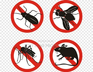 Pest Terminators From Homes,Hotels,Warehouses,Factories Etc