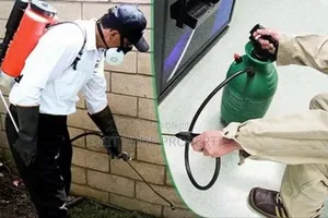 Are You Worried About Cockroaches,Ants,Snakes at Homes