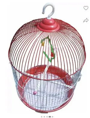 Birdcage for White -Crowns Parrot