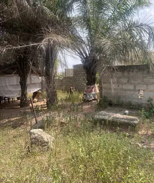 1 Acre Main Roadside Land at Ayi Mensah
