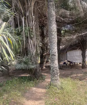 1 Acre Main Roadside Land at Ayi Mensah