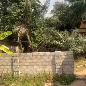 1 Acre Main Roadside Land at Ayi Mensah