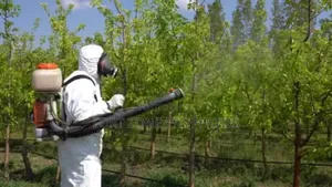 Pesticides and Insecticides Fumigation