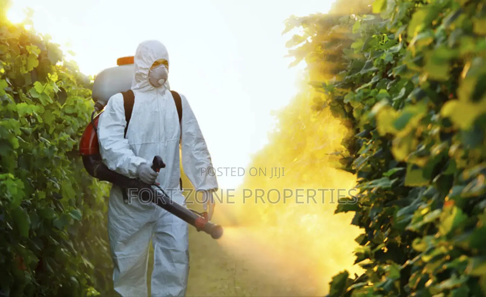 Pesticides and Insecticides Fumigation