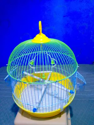 Dove Round Cage