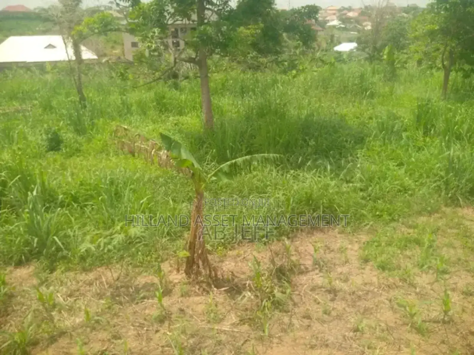 Plot of Land Forsale at Kansawurado-Mapong