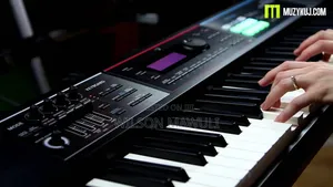 Musicals and Studio Works