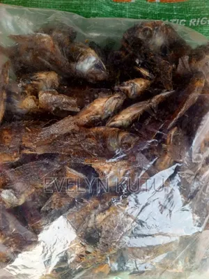 Fresh Fried Fish