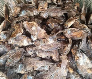 Fresh Fried Fish