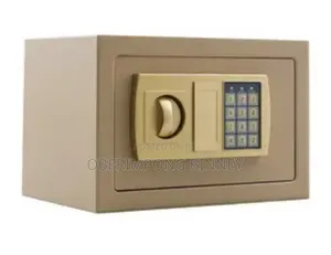 Safe Money Safe ( Microwave Size)