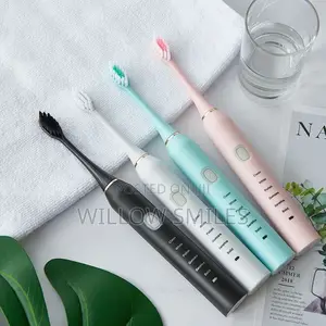 Electric Brushes + Brush Organizer