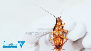 We Care for Your Homes Fumigation