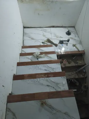 Professional Tiling Ever