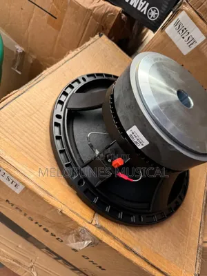 EV 12inches Double Magnet 600watt Naked Speakers [1pair]