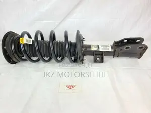 Chevrolet Equinox/GMC 2010 -2017 Front Shocks