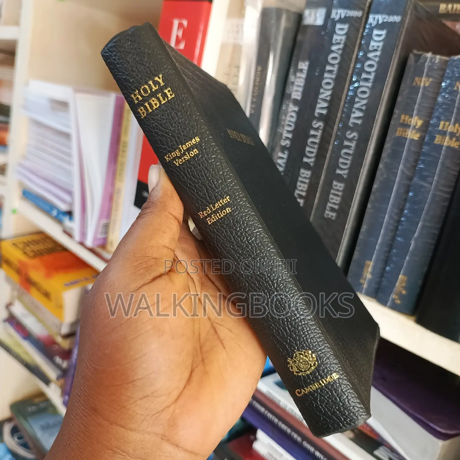 KJV Holy Bible